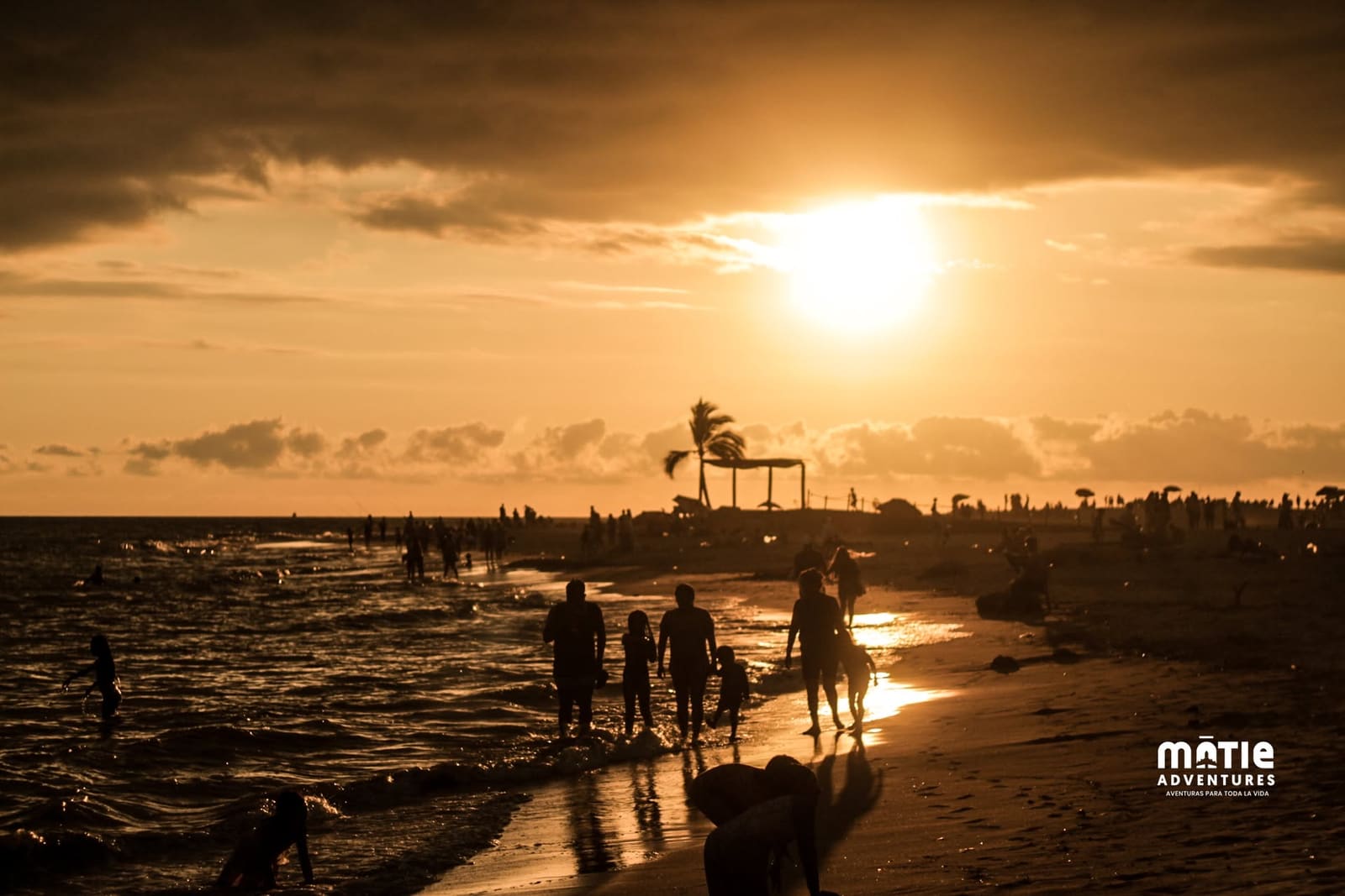 Panoramic sunset view of the beach in Vallarta