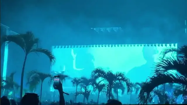 Lasers cutting between palm trees during a night festival in Tulum